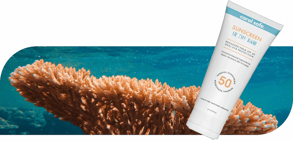 Coral Safe Heading